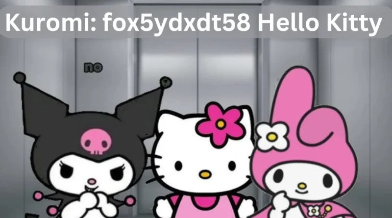 this image shown in Kuromi: fox5ydxdt58 Hello Kitty: Wonderful Character