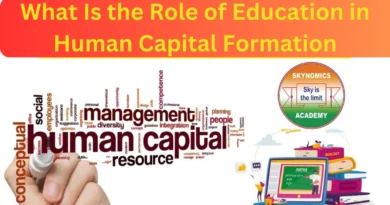 this image shown in What Is the Role of Education in Human Capital Formation