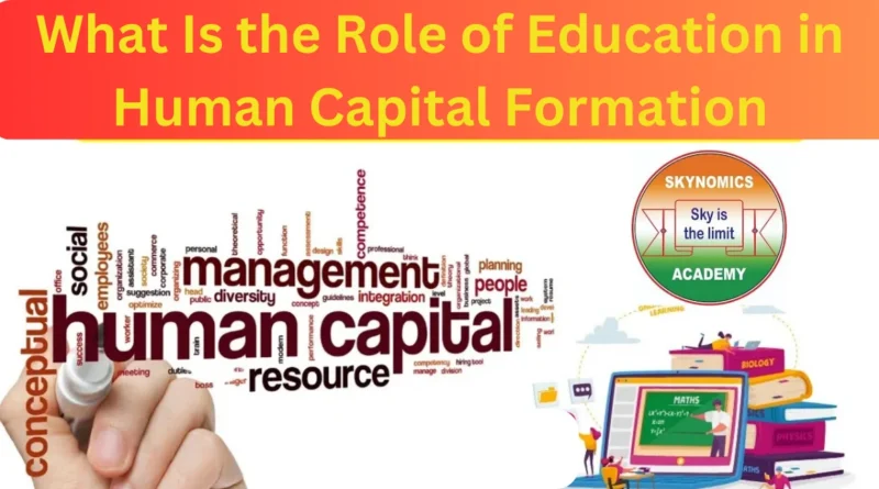 this image shown in What Is the Role of Education in Human Capital Formation