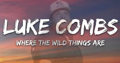 this image shown in Luke Combs Where the Wild Things Are Lyrics