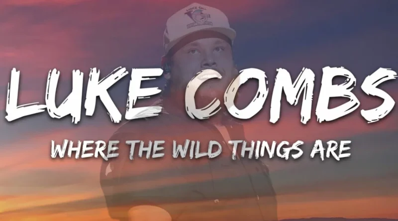 this image shown in Luke Combs Where the Wild Things Are Lyrics