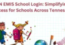 this image shown in TN EMIS School Login: Simplifying Access for Schools Across Tennessee