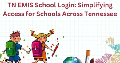 this image shown in TN EMIS School Login: Simplifying Access for Schools Across Tennessee