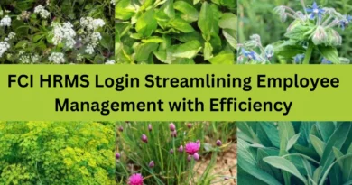 this image shown in FCI HRMS Login: Streamlining Employee Management with Efficiency