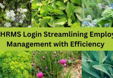 this image shown in FCI HRMS Login: Streamlining Employee Management with Efficiency