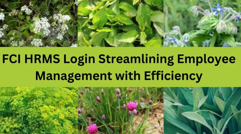 this image shown in FCI HRMS Login: Streamlining Employee Management with Efficiency