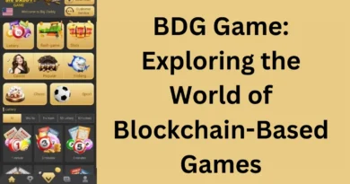 this image shown in BDG Game: Exploring the World of Blockchain-Based Games