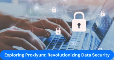 this image shown in Exploring Proxiyum: Revolutionizing Data Security