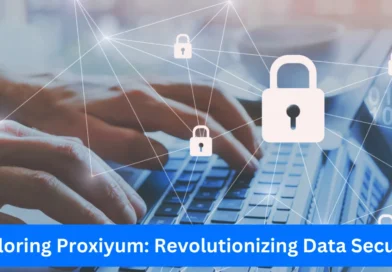 this image shown in Exploring Proxiyum: Revolutionizing Data Security