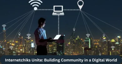 this image shown in Internetchiks Unite: Building Community in a Digital World