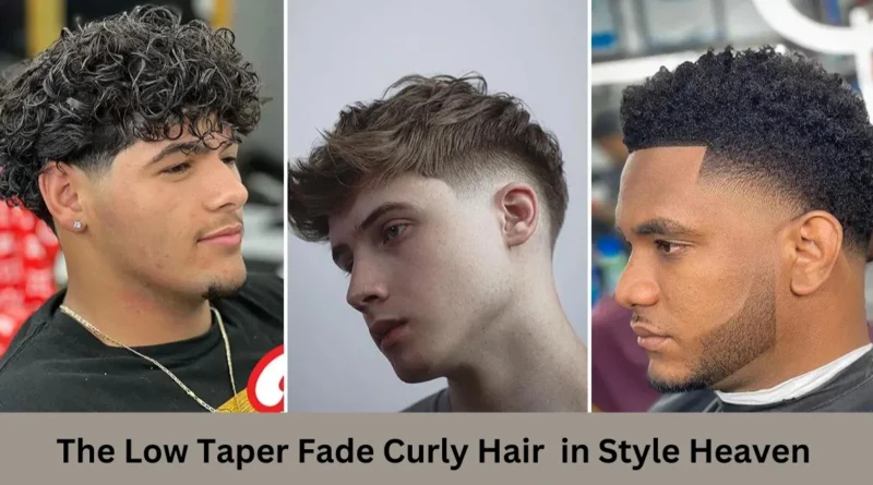 this image shown in The Low Taper Fade Curly Hair: A Match Made in Style Heaven