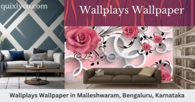 Wallplays Wallpaper in Malleshwaram, Bengaluru, Karnataka